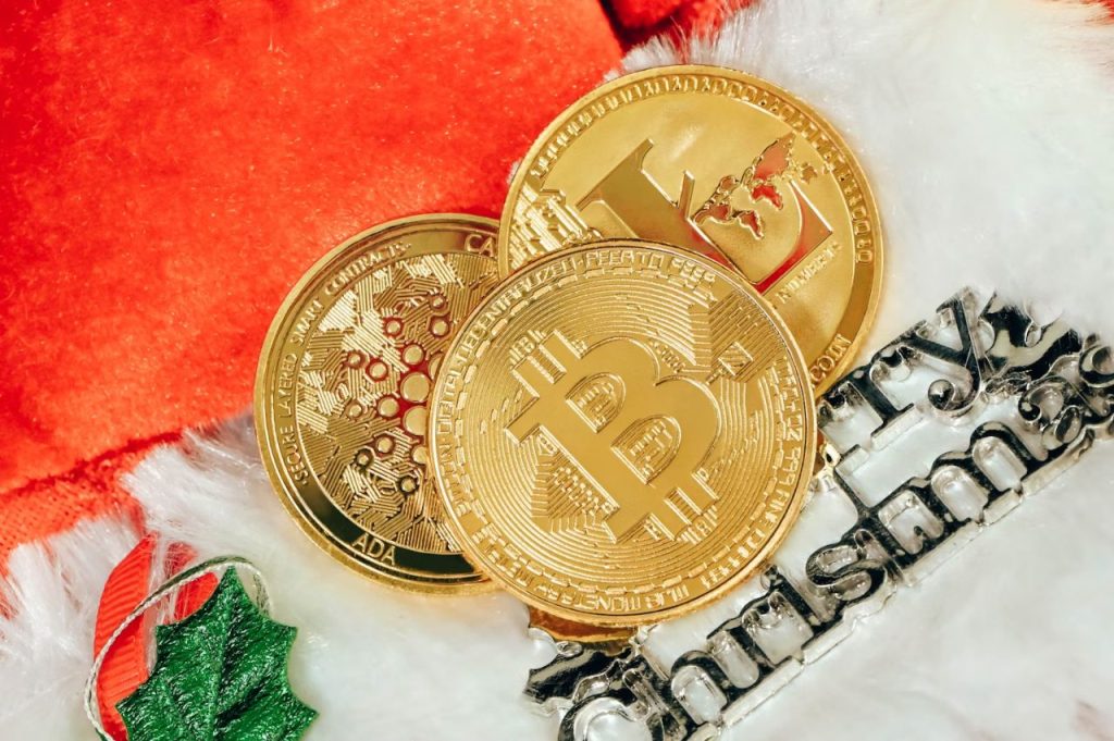 Plus Wallet vs Ledger Wallet; Crypto Gifts Trend This Christmas